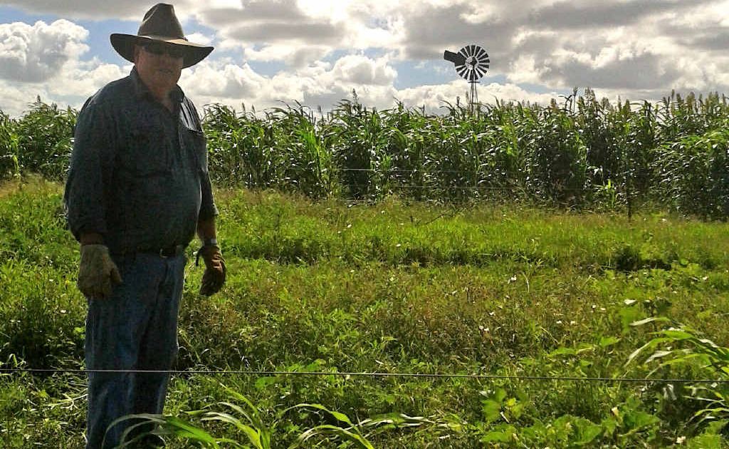 Massie farmer Bill Bowen in front of what once was a thriving crop.